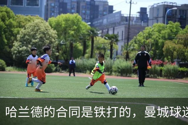 哈兰德的合同是铁打的，曼城球迷还是该放宽心？